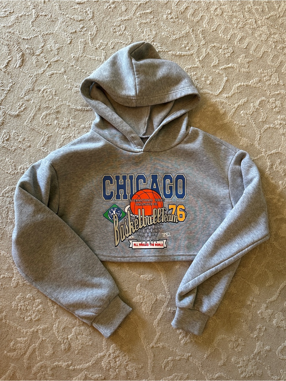 SHEIN Chicago Basketball Cropped Hoodie in Gray
